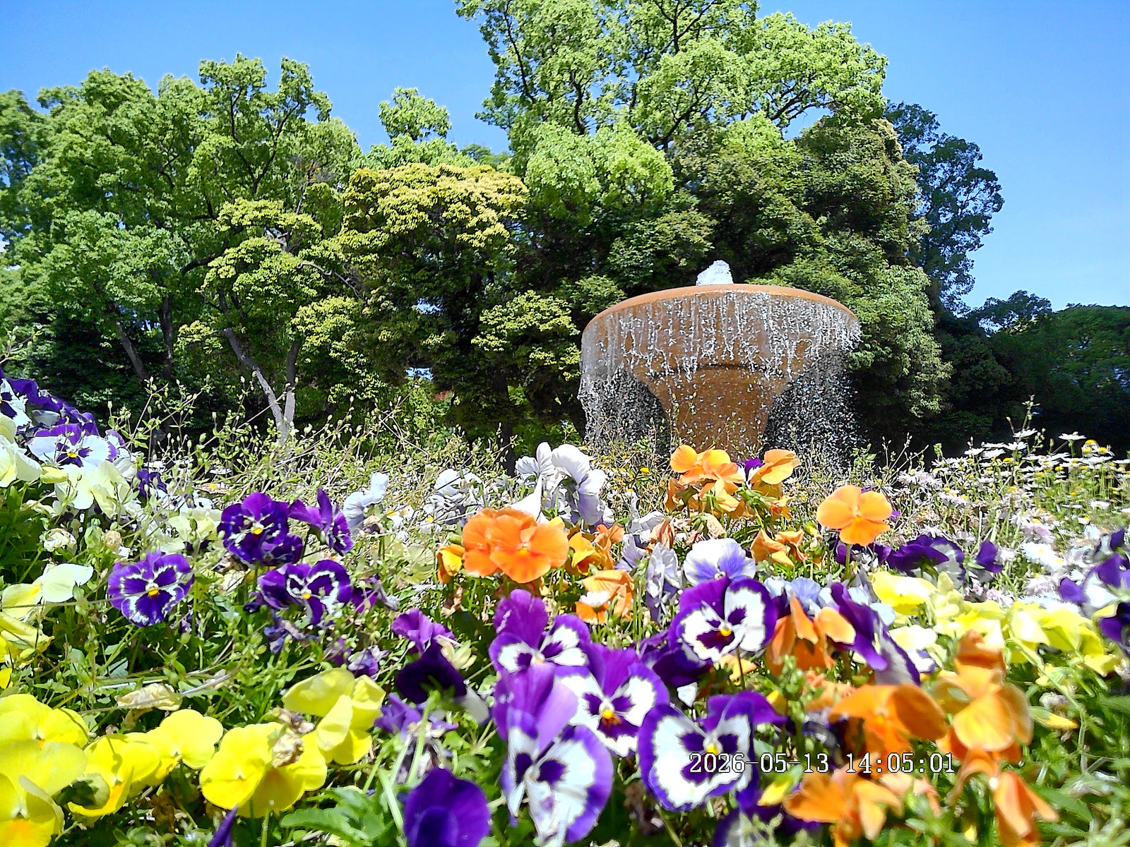 Insta Lux 撮影サンプル：011